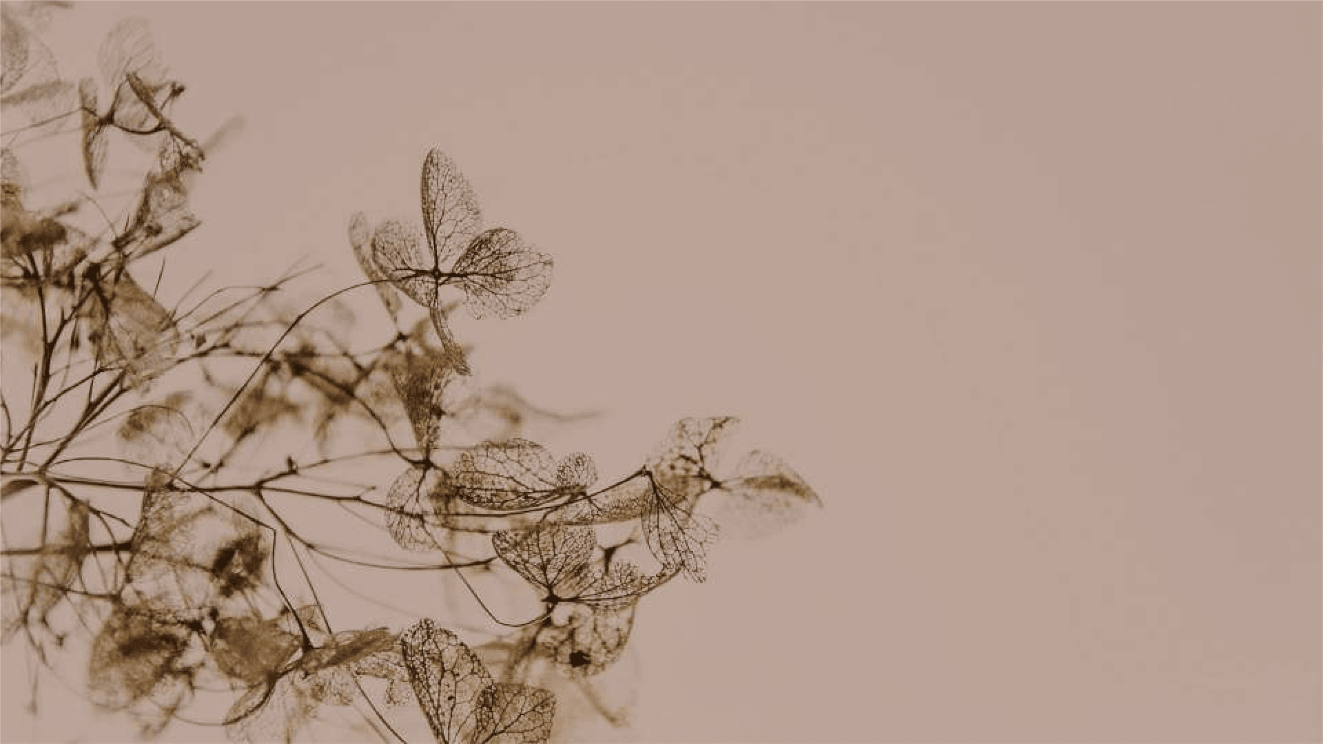 Vivage - Flor